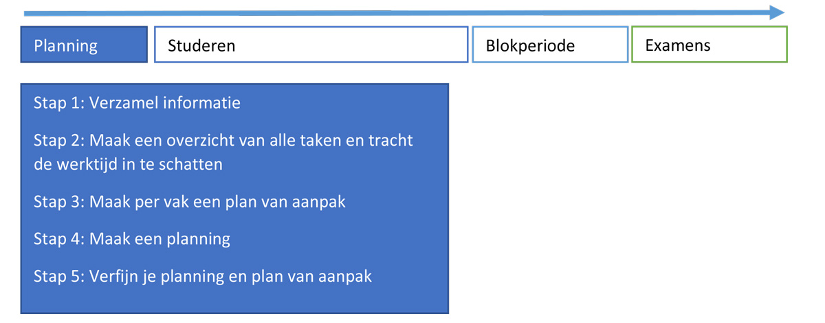 Een-studieplanning-opstellen-om-te-slagen---5-stappen
